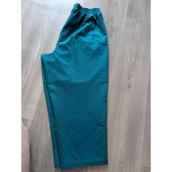 Dickies Teal Elastic Waist Cotton Work Pants Size 24w USA - Picture 2 of 6